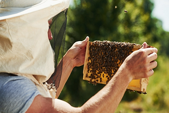 Beyşehir Balpetek promo