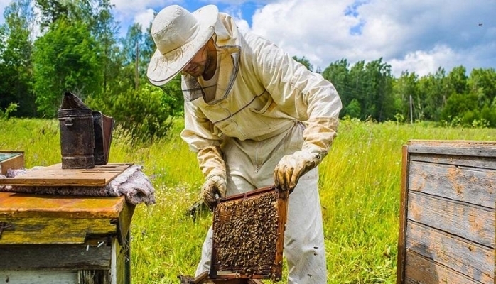 Beyşehir Balpetek promo